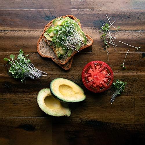 Superfood Microgreen Seeds Mix | for Microgreens Growing Trays | 1 LB | Heirloom Non GMO Purple Kohlrabi, Collard, Radish, Turnip & Broccoli Sprouts Seeds | Rainbow Heirloom Seed Co. - Image 4