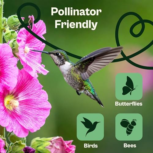 SVI 100 Mix Hollyhock Seeds (Alcea rosea) - Mallow, Common Hollyhock Seed Packets, Attracts Hummingbirds - Heirloom Flower Seeds for Outside & Inside, Meadows, Fences, Beds - Image 4