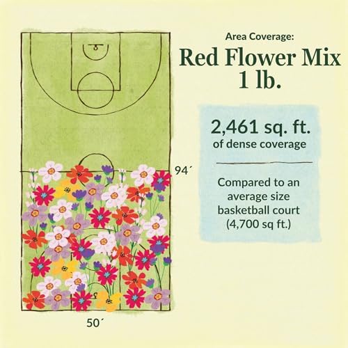 Ferry-Morse Red Bulk Wildflower Seeds, 440,000+, 1 lb - Image 6
