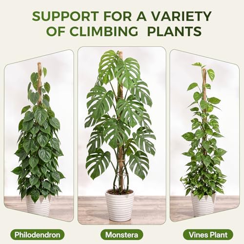 48" Moss Pole Monstera Plant Support, 4 Pack, Bendable Plant Stakes Made of Real Coco Coir Support for Climbing Indoor Plants, Tall Moss Stick Trellis for Potted Climbers - Image 7