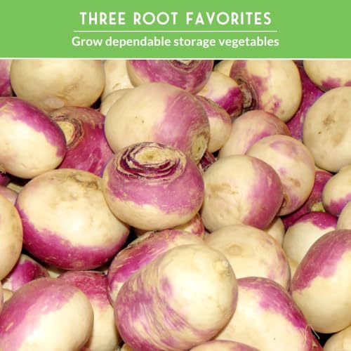 Turnip & Rutabaga Seeds Collection for Planting - Image 6