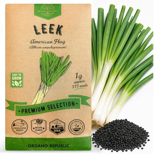 Organo Republic Onion Leek Seeds Pack 1G - Over 375 Non-GMO Heirloom Onion Seeds for Planting Vegetables in Individual Seed Packet, Vegetable Seeds for Planting Home Garden Indoor & Outdoor Gardening by OrganoRepublic