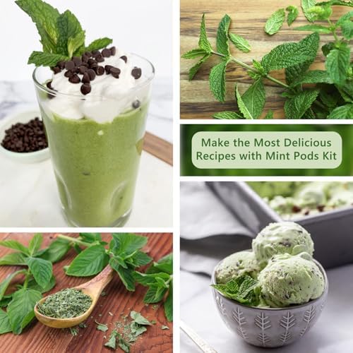 Mint Seed Pods for All Hydroponics Growing Systems, 12 Pods Herb Kit with Seeds of Peppermint, Grow Your Own Herb Garden at Home - Image 7