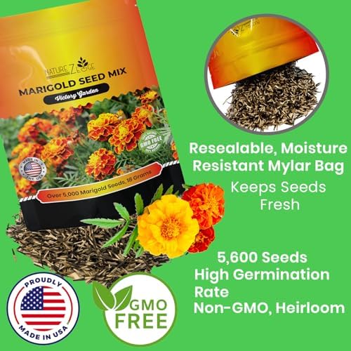 NatureZ Edge Marigold Seeds Mix, Over 5600 Seeds, Marigold Seeds for Planting Outdoors, Dainty Marietta, Petite French, Sparky French, and More - Image 4