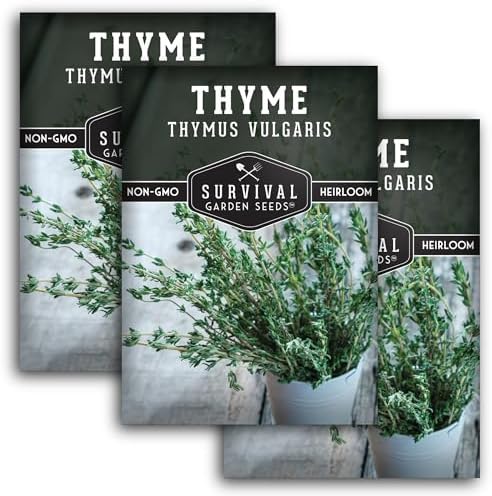 Thyme Seeds for Planting – Survival Garden Seeds (3 Packs) by SurvivalGardenSeeds