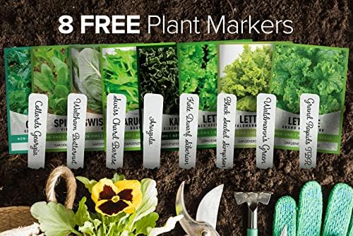 Gardeners Basics Leafy Greens Seeds for Planting, 8 Heirloom Varieties - Image 5