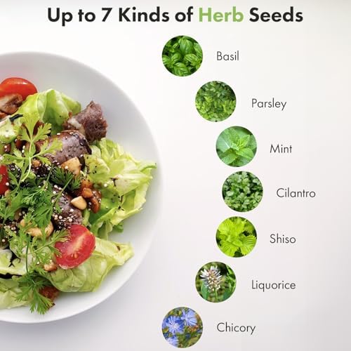 LYKOCLEAN Herb Seed Pods Kit for AeroGarden, Ahopegarden - Includes Basil, Parsley, Mint, Cilantro, Shiso, Liquorice, Chicory, 12 pods, 400+ Seeds - Image 3