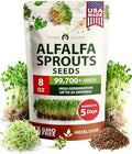 HOME GROWN Alfalfa Sprout Seeds, 8 oz Bulk Pack by HOMEGROWN