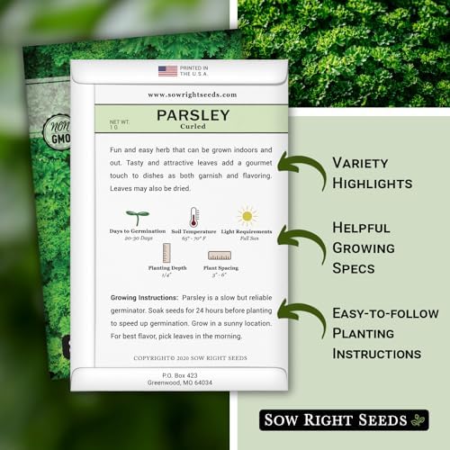 Sow Right Seeds - Curled Parsley Seed for Planting Your Own Herb Garden - Image 2