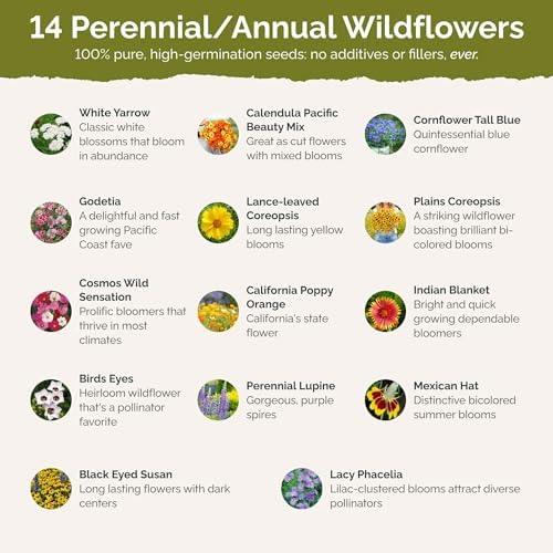 Eden Brothers Bird & Butterfly Wildflower Mixed Seeds for Planting, 5 lb - Image 3