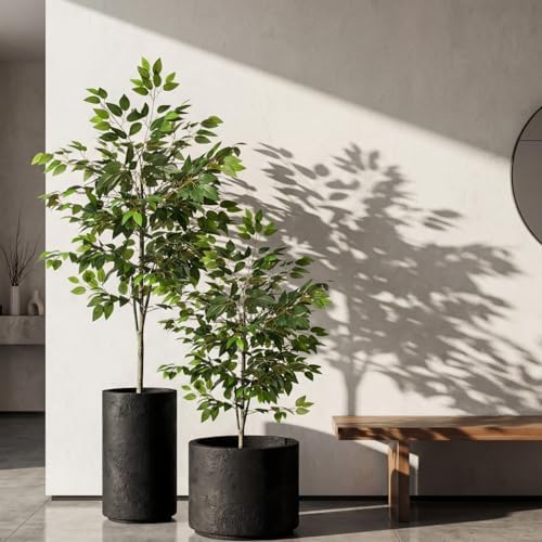 Daifunli 2 Pack Artificial Ficus Tree with Realistic Leaves Natural Trunk - Image 4