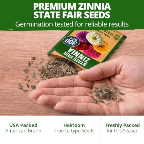HOME GROWN State Fair Zinnia Seeds, 600 Seeds, Zinnia elegans - Image 7