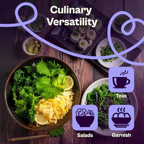 SVI 350 Green Shiso Seeds (Perilla frutescens) – Japanese Shiso Perilla Seed Packets, Aromatic Leaves – Japanese Heirloom Herb Seeds Outdoors & Indoor Herb Garden - Image 4