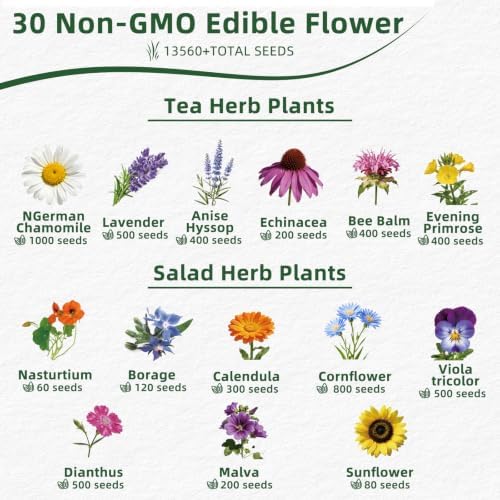 30 Edible Flower Seeds Variety Pack, Wildflower Seeds Mix for Indoor & Outdoors, 13,500+ Non-GMO Heirloom Seeds Culinary & Tea Garden, Easy-Grow Blooms for Salads & Cocktails - Image 2