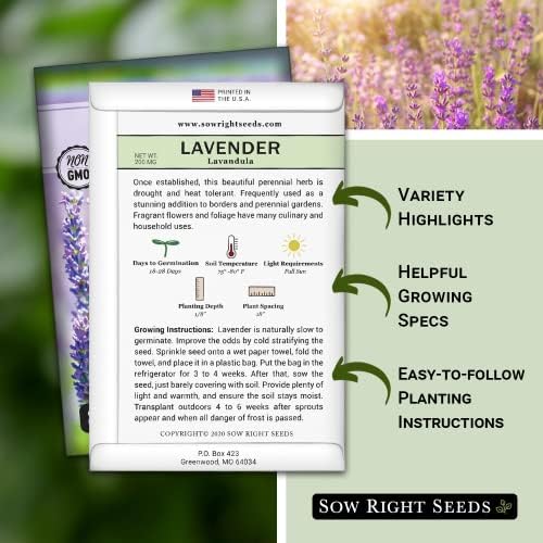 Sow Right Seeds - English Lavender Seed for Planting Perennial Herbs 2pk - Image 2