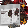 Groundio 160+ Chocolate Sunflower Seeds to Plant - Helianthus Annuus by Groundio