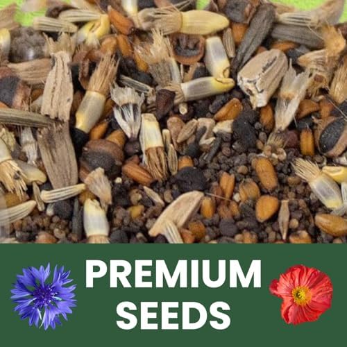 Northeast Natives Mix – 16,000 Seeds for Planting – 2026 Season – 1 Ounce Pouch - Image 5