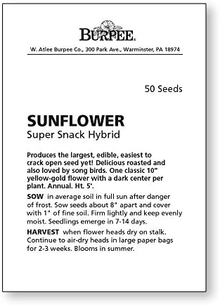 Burpee Super Snack Sunflower Seeds 50 seeds - Image 2