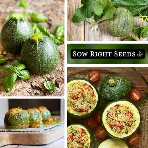 Sow Right Seeds - Round Zucchini Seed for Planting Summer Squash Garden - Image 4