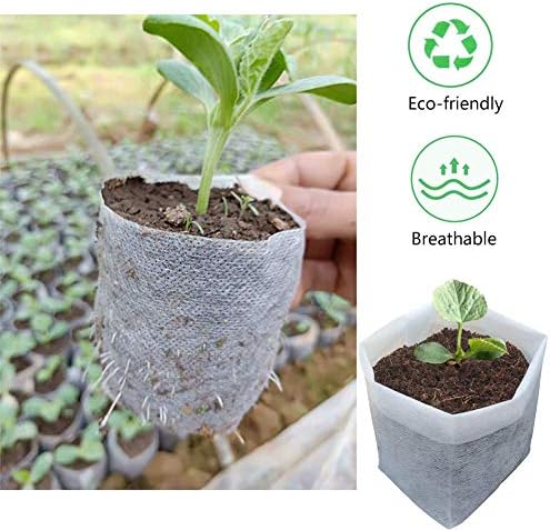 Belit 100 Pcs Nursing Growing Pouch, Garden Grow Bag for High Seedling Survival Rate Planting Plant Flower Seed Starting (7.3"x6.9") - Image 2