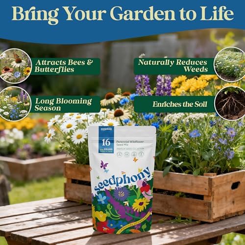 Seedphony 16 Perennial Wildflower Mix 4 oz - 100,000 Non-GMO Heirloom Wildflower Seeds for Planting Garden, Wild Flowers in Waterproof Seed Packet, Floral Seeds for Planting Indoor & Outdoor Gardening - Image 5