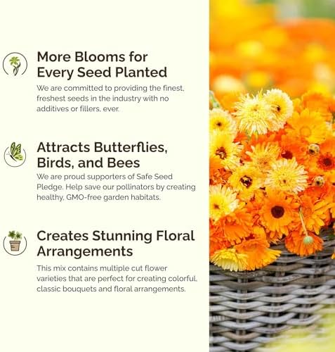 Eden Brothers Shorty Low Grow Wildflower Mixed Seeds for Planting, 25 lb, 12,000,000+ Seeds with Calendula, Cornflower | Attracts Pollinators, Plant in Spring or Fall, Zones 3, 4, 5, 6, 7, 8, 9, 10 - Image 4
