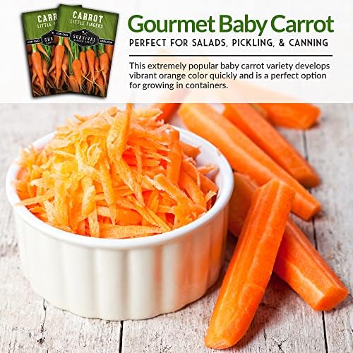 Little Finger Carrot Seeds for Planting – Survival Garden Seeds (2 Pack) - Image 5