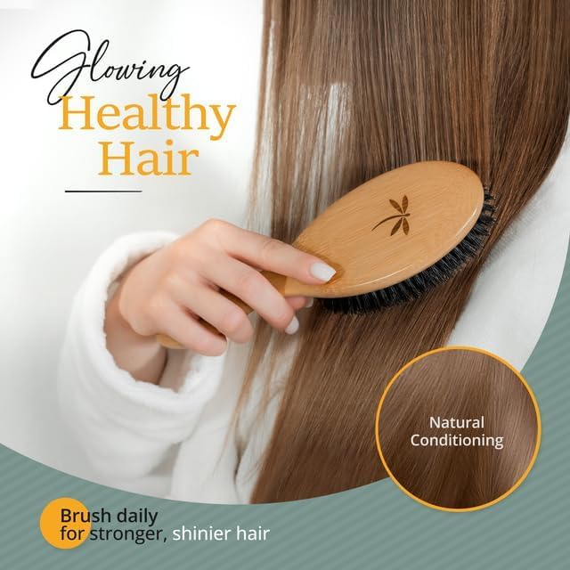 Belula 100% Boar Bristle Hair Brush Set, Medium, for Thin and Fine Hair - Image 6