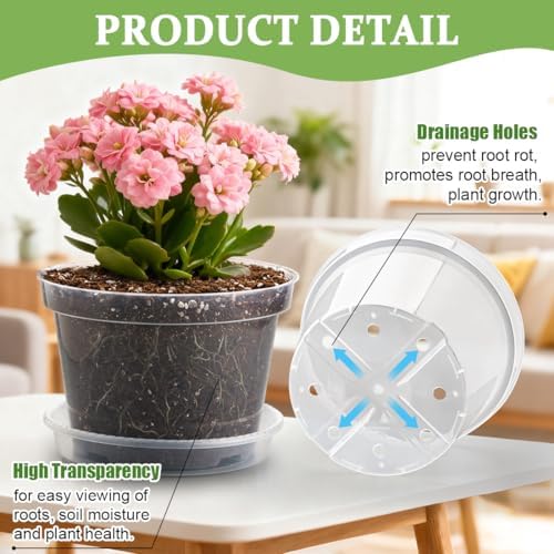 RooTrimmer 12 Pack 8 Inch Clear Plant Pots with Saucers, Transparent Plastic Nursery Pots with Drainage Hole, Sturdy Garden Planter Pots, Planting Starter Pots for Indoor Outdoor - Image 3