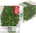 Seed Needs Bouquet Dill Seeds to Plant an Herb Garden - 10 Packs by SeedNeeds