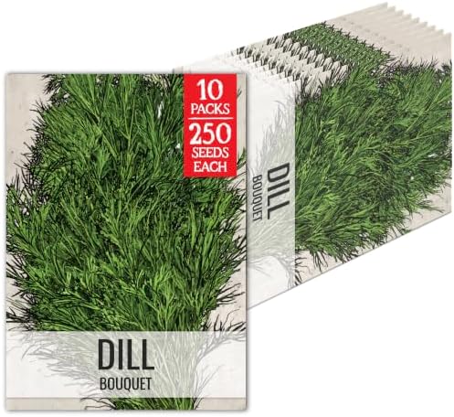 Seed Needs Bouquet Dill Seeds to Plant an Herb Garden - 10 Packs by SeedNeeds