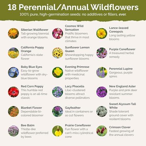 Eden Brothers Mississippi Wildflower Mixed Seeds for Planting, 1/4 lb - Image 3