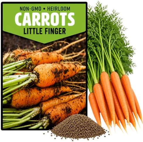 750+ Carrot Seeds for Planting Outdoors - Heirloom Non-GMO by Axel%27s+Garden+Seeds