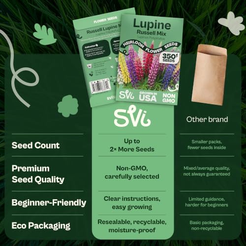 SVI 350 Mix Russell Lupine Seeds (Lupinus polyphyllus) – Heirloom Perennial Lupine Seed Packets, Wildflower Seed Mix – Cut Flower Seeds for Flower Garden, Borders & Meadow Planting Outdoors - Image 6