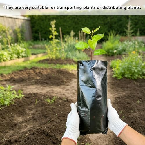 Belit Nursery Growing Bags, 100 Pcs Black Plastic Seedling Pots for Gardening Seed Plant Bags, Fruit Tree Seedling, Starting saplings(5.7"x9.5") - Image 5