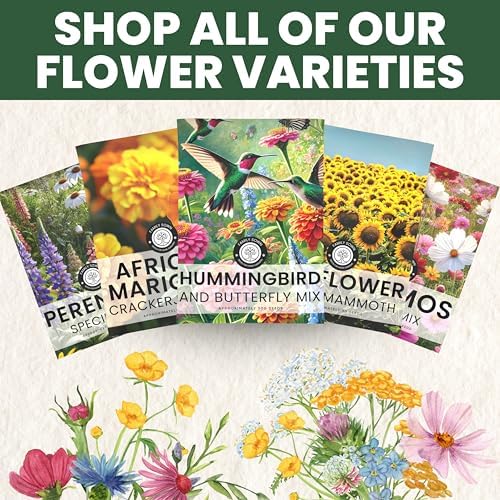 Hummingbird Butterfly Mix - Bulk 1/4 Pound Pouch - 30,000 Flower Seeds for Planting - Wildflower Mix - Image 7