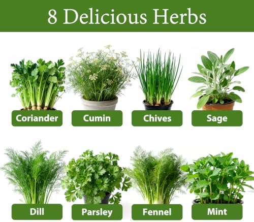 LUOJIBIE Herb Garden Kit Indoor, Herb Growing Kit with Seeds & Tools, Birthday Gifts for Women Men Mom Dad Girls Boys Kids, House Warming Gifts New Home, Kitchen Décor - Image 4