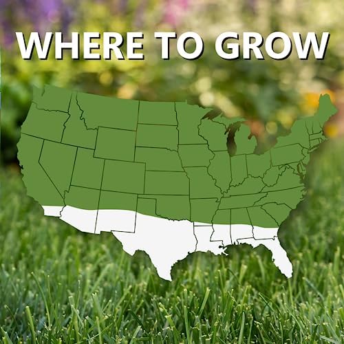 Jonathan Green Fast Grow Grass Seed - Cool Season Lawn Seed - 25 lb - Image 4
