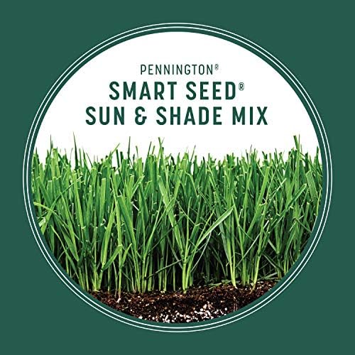 Pennington Smart Seed Sun and Shade Mix North Grass Seed, 7 lb - Image 6
