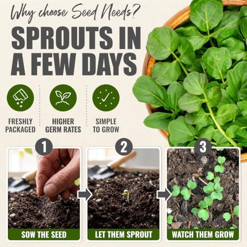 Seed Needs Watercress Seeds to Plant an Herb Garden - 5 Packs - Image 5