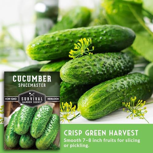 Spacemaster Cucumber Seeds for Planting - Bush Style Cucumbers (1 Pack) - Image 4