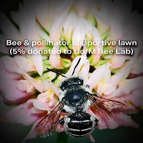 Bee Lawn Seed Mixture, 5 lb - Image 3