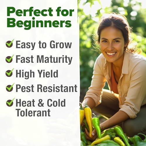 HOME GROWN Sweet Banana Pepper Seeds, 188+ Seeds, Capsicum annuum - Image 4