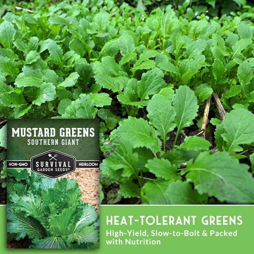 Southern Giant Mustard Green Seeds for Planting - 2 Packs - Image 4