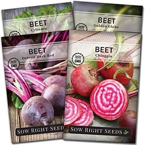 Sow Right Seeds - Beet Seed Collection for Planting Spring or Fall Garden by SowRightSeeds