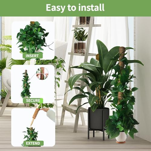 Moss Pole Monstera Plant Support: 4 Pack 16 inch Stackable Coco Coir - Image 5