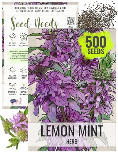 Seed Needs Lemon Mint Seeds to Plant an Herb Garden - 1 Pack by SeedNeeds