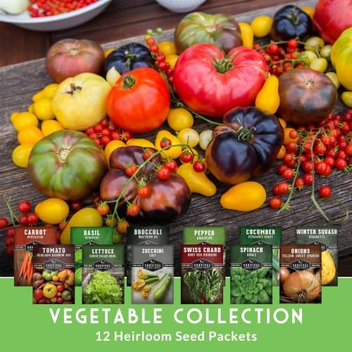 Vegetable Seeds 12 Variety Pack for Planting - Survival Garden Seeds - Image 2