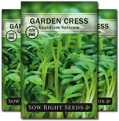 Sow Right Seeds - Garden Cress Seed for Planting Kitchen Herb Garden 3pk by SowRightSeeds