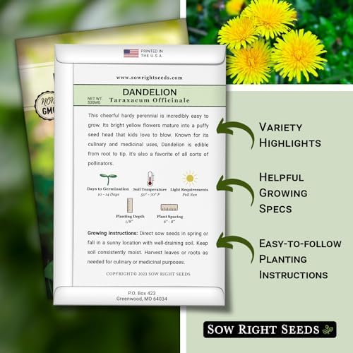 Sow Right Seeds- Common Dandelion Seed for Planting Outdoor Herb Garden 4pk - Image 2